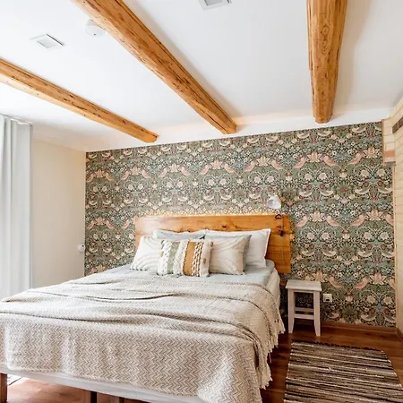 Alice Backyard-Holiday Home And Spa Parnu Exterior photo